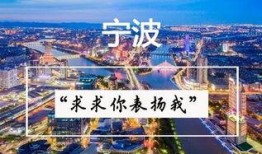 阿拉宁波最新爆料,揭秘最新热点事件背后的真相